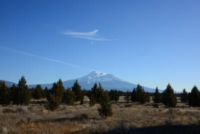 DSC_2972 (Large).JPG